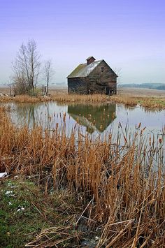 an old abandoned house sits in the middle of a marshy area with water and reeds