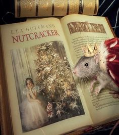 Nutcracker And The Mouse King, The Mouse King, Christmas Fairy, The Night Before Christmas