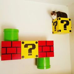 a cat sitting on top of a box with question marks in it and a green container next to it