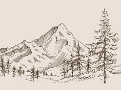 hand drawn mountain landscape with pine trees