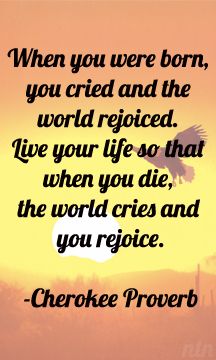 a bird flying in the sky at sunset with a quote written on it that reads, when you were born, you tried and the world