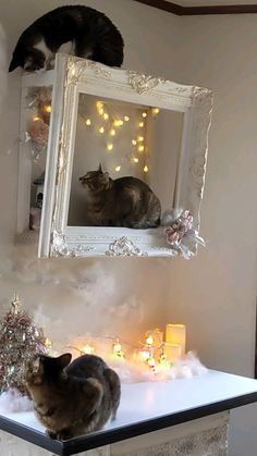 two cats sitting on top of a table in front of a mirror and christmas decorations