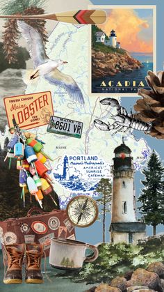 a collage of various items including a lighthouse, pine cone and other things in the background