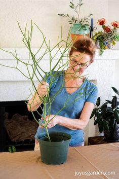 a woman is arranging plants in a pot