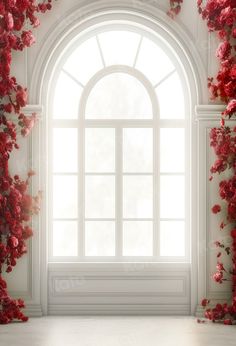 an open window with red flowers on it