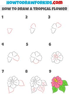 how to draw a tropical flower with step by step instructions for kids and beginners