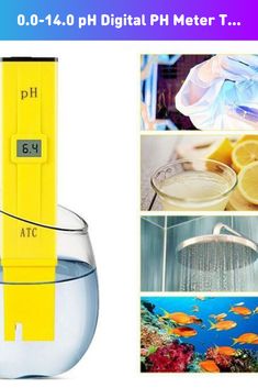 there is a yellow meter next to a bowl with fish in it and other pictures