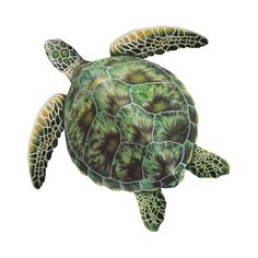 a green sea turtle on a white background with clippings to cut out the top