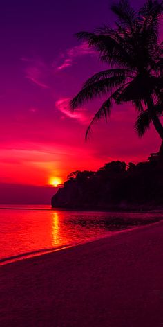 the sun is setting over the ocean with palm trees on the shore and in the foreground