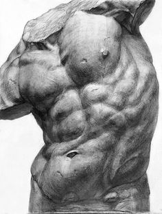 a pencil drawing of a man's torso