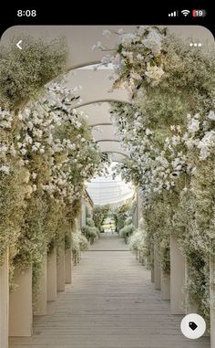 an outdoor walkway lined with white flowers and greenery is shown in this instagram photo