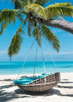 a hammock hanging from a palm tree on the beach