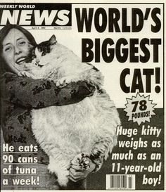 a woman holding a cat on the cover of news world's biggest cat magazine