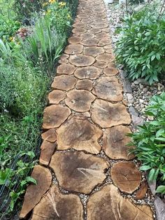 a path made out of logs in a garden