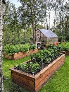 a garden with lots of plants in it and a small house on the other side