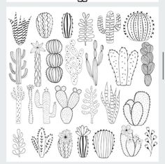 a black and white drawing of cactuses with different shapes, sizes and colors on the page