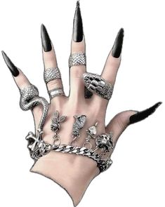 Midi Ring Set, Wild Free, Vintage Punk, Midi Rings, Inspired Jewelry, Set Vintage, Venom, Ring Set, Ring Sets