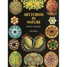 the cover of art forms in nature, with an image of many different shapes and sizes