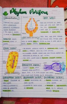 an open notebook with information about different types of jellyfish