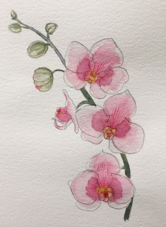 some pink flowers on a white paper with watercolor pencils and ink drawing technique