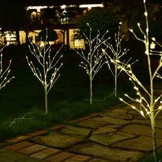 lighted trees in front of a house at night with the lights turned on and one lit up