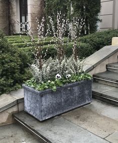 a planter filled with white flowers sitting on the side of a set of steps