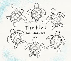 four turtles are shown in the middle of a drawing