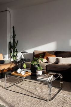 a living room filled with lots of furniture and plants on top of a coffee table