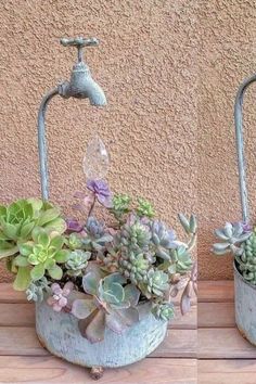 three different pictures of succulents in buckets