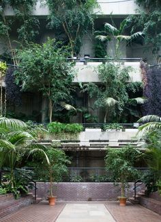 an outdoor courtyard with trees and plants on the walls