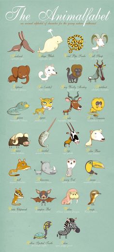 an illustrated poster with different animals on it