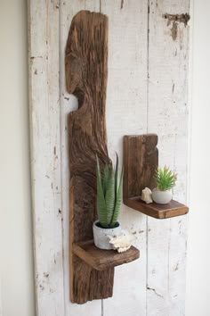 a wooden shelf with two plants on it