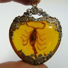 Bijoux Art Nouveau, Amber Fossils, Chinese Jewelry, Funky Jewelry, Amber Jewelry, Bijoux Diy, Pretty Jewellery, Rare Antique, Scorpion