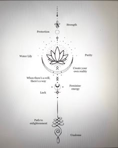 a diagram showing the seven chakras and their corresponding symbols, including water lily