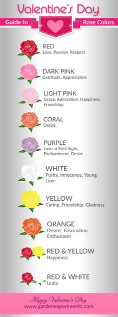 the valentine's day rose color guide