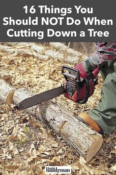 a person with a chainsaw cutting wood in the woods text reads 16 things you should not do when cutting down a tree