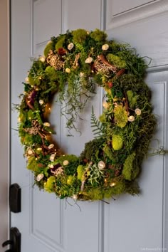 a wreath is hanging on the front door with moss and pineconi around it