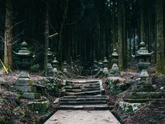 an old cemetery in the middle of a forest with moss growing on the ground and stone steps leading up to it