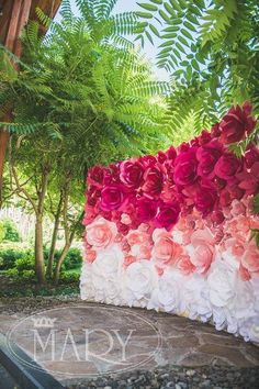 there are many different colored flowers in the garden and one is red, white, and pink