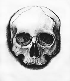 a black and white drawing of a skull with its lower jaw missing from it's head