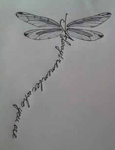 a drawing of a dragonfly with words written on it