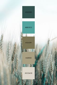 the color scheme is in shades of blue, green and brown with wheat stalks on each side