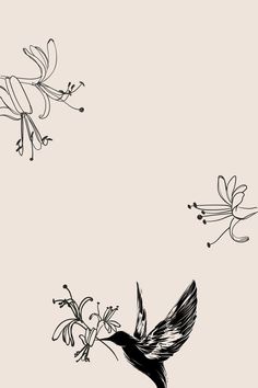 hummingbird and woodbine flower drawing, simple sketch Flower Drawing Simple, Flower Wings, Hummingbird Drawing, Flowers Logo, Hh Logo, Florist Logo, Simple Sketch, Social Branding