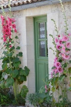 pink flowers growing out of the ground next to a building with green doors and windows