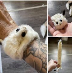 a person holding a small white dog in their left hand and another photo of someone holding a long bone