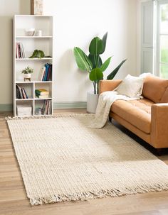 a living room with a couch, bookshelf and potted plant