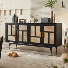 a cat laying on the floor in front of a black cabinet with wicker doors