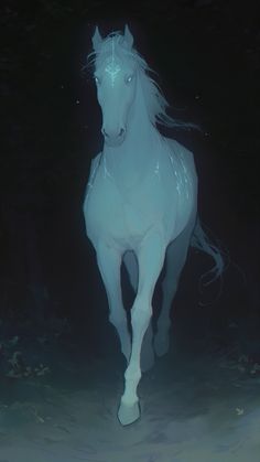 a white horse is standing in the dark