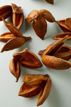 several pieces of dried plantain on a white surface