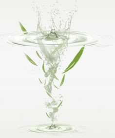 a water drop falling into a body of water with grass sprouts sticking out of it